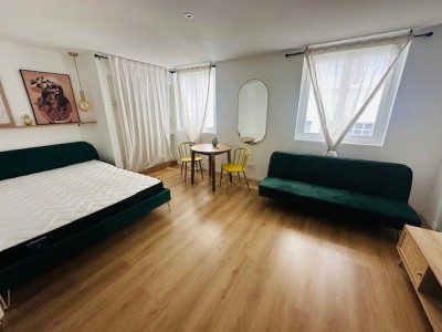 STUDIO A LOUER - ST ETIENNE CITE DESIGN / BERGSON - 29.3 m2 - 490€ charges comprises par mois