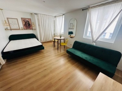 STUDIO A LOUER - ST ETIENNE CITE DESIGN / BERGSON - 29.3 m2 - 490€ charges comprises par mois