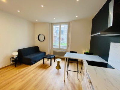 STUDIO - ST ETIENNE FACULTE   CENTRE DEUX - 20.85 m2 - LOUÉ