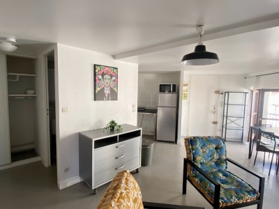 STUDIO A LOUER - ST ETIENNE JACQUARD - 31.9 m2 - 440€ charges comprises par mois
