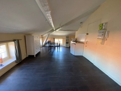 1 Pièce A LOUER - ST ETIENNE PLACE GRENETTE/PEUPLE - 18.93 m2 - 274 € charges comprises par mois