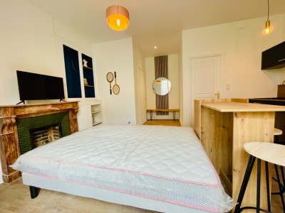 STUDIO A LOUER - ST ETIENNE Quartier Trfilerie - 24.01 m2 - 454€ charges comprises par mois