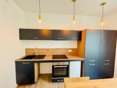 STUDIO A LOUER - ST ETIENNE Quartier Trfilerie - 24.01 m2 - 454€ charges comprises par mois