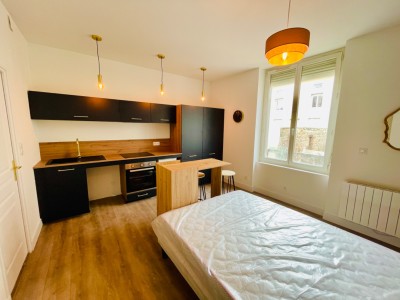 STUDIO A LOUER - ST ETIENNE Quartier Trfilerie - 24.01 m2 - 454€ charges comprises par mois
