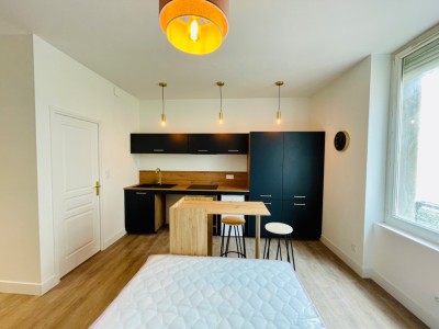 STUDIO A LOUER - ST ETIENNE Quartier Trfilerie - 24.01 m2 - 454€ charges comprises par mois