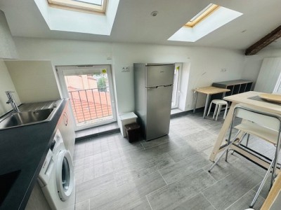 STUDIO A LOUER - ST ETIENNE RICHELANDIERE / CHATEAUCREUX - 22.78 m2 - 446€ charges comprises par mois