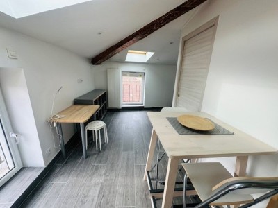 STUDIO A LOUER - ST ETIENNE RICHELANDIERE / CHATEAUCREUX - 22.78 m2 - 446€ charges comprises par mois