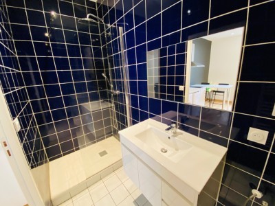 STUDIO A LOUER - ST ETIENNE Trfilerie - 20.85 m2 - 420€ charges comprises par mois