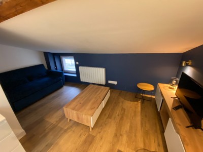 STUDIO - ST ETIENNE TREFILERIE - 21.5 m2 - LOUÉ