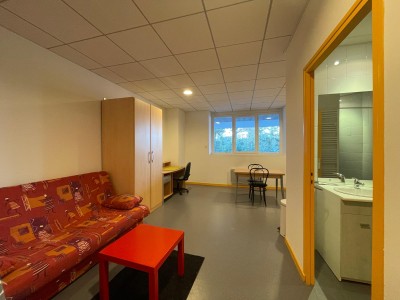 STUDIO - ST ETIENNE BELLEVUE - 32.8 m2 - VENDU