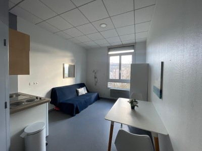 STUDIO - ST ETIENNE BELLEVUE - 32.8 m2 - VENDU