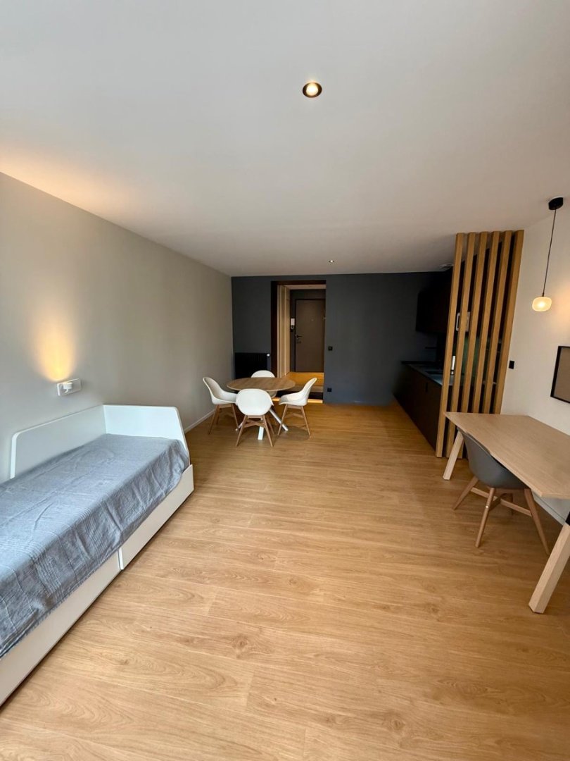 STUDIO - ST ETIENNE CENTRE VILLE - 26.01 m2 - VENDU