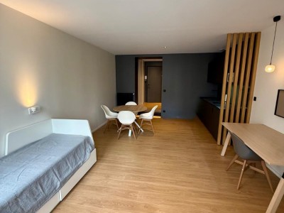 STUDIO A VENDRE - ST ETIENNE CENTRE VILLE - 26.39 m2 - 80000€