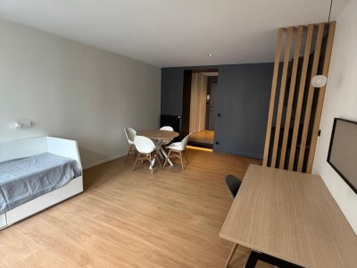 STUDIO A VENDRE - ST ETIENNE CENTRE VILLE - 26.38 m2 - 80000€