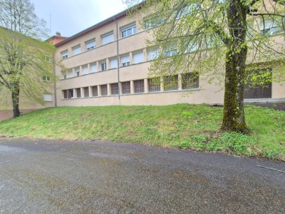 STUDIO A VENDRE - ST GENEST MALIFAUX - 27.8 m2 - 26250€