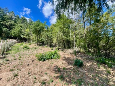 TERRAIN A VENDRE - BAS EN BASSET - 1212 m2 - 65 500 €