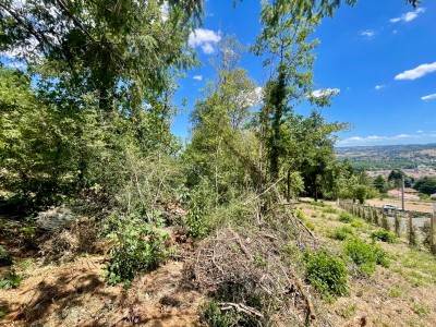 TERRAIN A VENDRE - BAS EN BASSET - 1212 m2 - 65 500 €