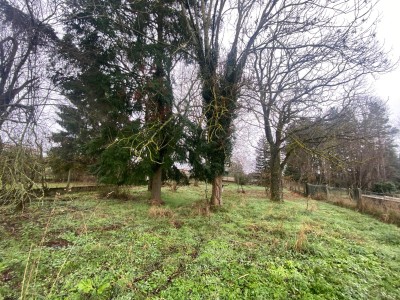 TERRAIN A VENDRE - LES VILLETTES - 65 000 €