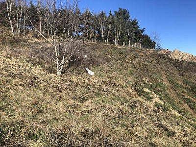 TERRAIN A VENDRE - ST FERREOL D AUROURE - 1246 m2 - 95000€