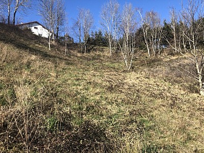 TERRAIN A VENDRE - ST FERREOL D AUROURE - 1246 m2 - 95000€