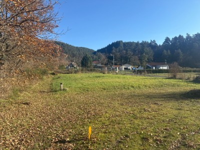 TERRAIN A VENDRE - ST MAURICE DE LIGNON - 39 000 €
