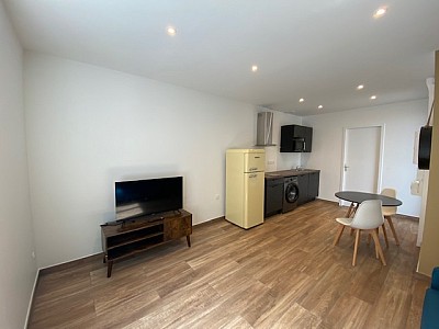 Studio semi-quipe A LOUER - ST ETIENNE Albert Thomas/Badouillre - 23.44 m2 - 435€ charges comprises par mois