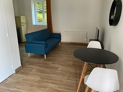 APPARTEMENT T1 A LOUER - ST ETIENNE ALBERT THOMAS/URSULES - 23.61 m2 - 423€ charges comprises par mois