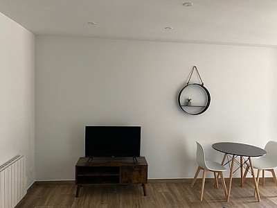 APPARTEMENT T1 A LOUER - ST ETIENNE ALBERT THOMAS/URSULES - 23.61 m2 - 423€ charges comprises par mois