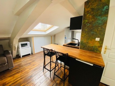 Studio sous les toits A LOUER - ST ETIENNE BELLEVUE/CENTRE II - 17 m2 - 350 € charges comprises par mois