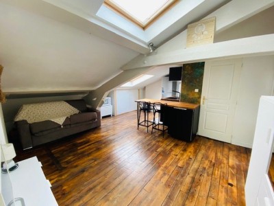 APPARTEMENT T1 - ST ETIENNE BELLEVUE - 17 m2 - LOUÉ