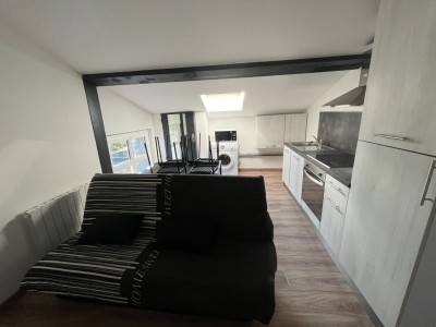 APPARTEMENT T2 - ST ETIENNE FACULTE   CENTRE DEUX - 24.09 m2 - LOUÉ