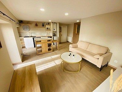 APPARTEMENT T1 A LOUER - ST ETIENNE JEAN JAURES/JACQUARD - 34.82 m2 - 498�&euro; charges comprises par mois