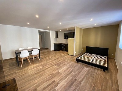 Grand 1 pièce Semi-Meublé A LOUER - ST ETIENNE QUARTIER DES URSULES - 41.99 m2 - 495 € charges comprises par mois