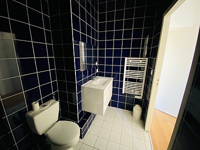 APPARTEMENT T1 A LOUER - ST ETIENNE Quartier Trfilerie - 29.45 m2 - 470€ charges comprises par mois