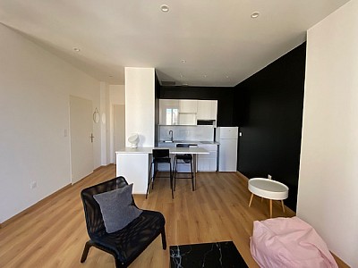 APPARTEMENT T1 A LOUER - ST ETIENNE Quartier Trfilerie - 29.45 m2 - 470€ charges comprises par mois