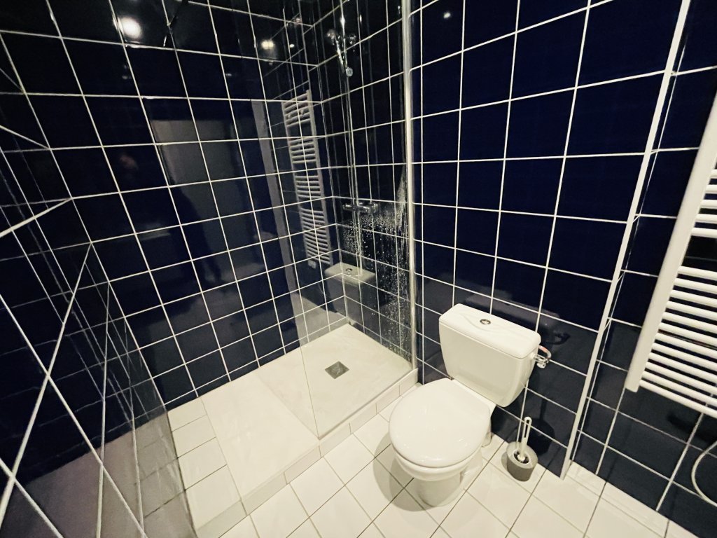 APPARTEMENT T1 - ST ETIENNE Quartier Tréfilerie - 29.96 m2 - LOU&Eacute;