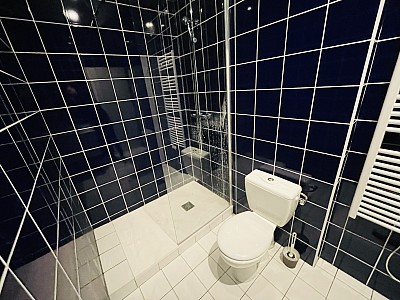 APPARTEMENT T1 A LOUER - ST ETIENNE Quartier Trfilerie - 29.96 m2 - 433€ charges comprises par mois