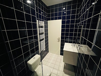 APPARTEMENT T1 A LOUER - ST ETIENNE Quartier Trfilerie - 29.96 m2 - 433€ charges comprises par mois