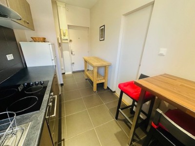 APPARTEMENT T1 A LOUER - ST ETIENNE RICHELANDIERE / CHATEAUCREUX - 30.96 m2 - 465€ charges comprises par mois