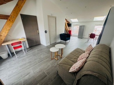 APPARTEMENT T1 A LOUER - ST ETIENNE RICHELANDIERE/LA MONTAT - 31.89 m2 - 445€ charges comprises par mois
