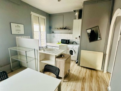 F1 POUR INVESTISSEUR - ST ETIENNE FACULTE   CENTRE DEUX - 32.6 m2 - 56000€