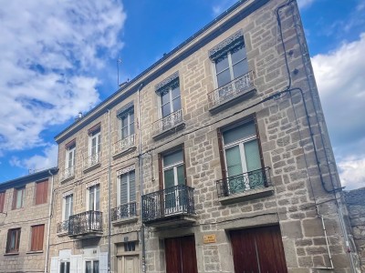 T1 de 32 m2 plus chambre en mezzanine - ST ETIENNE Hauteur de la place Albert Thomas - 32.43 m2 - VENDU