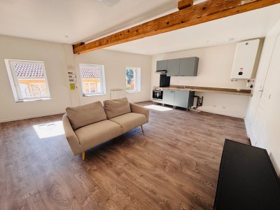 Appartement T2 entièrement rénové A LOUER - BAS EN BASSET - 44.68 m2 - 490 € charges comprises par mois