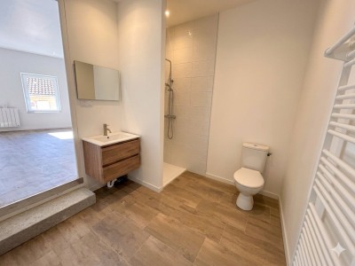 Appartement T2 entièrement rénové A LOUER - BAS EN BASSET - 44.68 m2 - 490 € charges comprises par mois