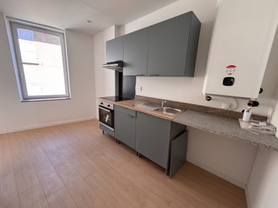 Appartement T2 entièrement rénové A LOUER - BAS EN BASSET - 40.29 m2 - 490 &euro; charges comprises par mois