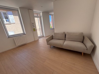 Appartement T2 entièrement rénové A LOUER - BAS EN BASSET - 40.29 m2 - 490 &euro; charges comprises par mois