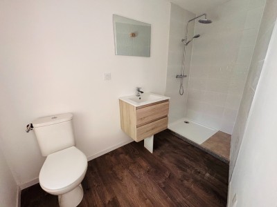 Appartement T2 entièrement rénové A LOUER - BAS EN BASSET - 40.29 m2 - 490 &euro; charges comprises par mois