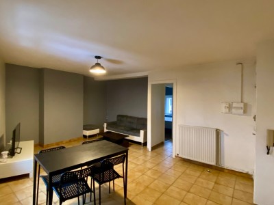 APPARTEMENT T2 A LOUER - FIRMINY - 44.54 m2 - 450€ charges comprises par mois