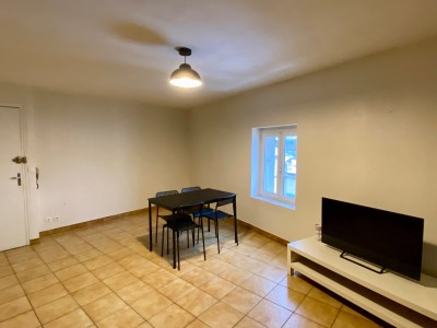 APPARTEMENT T2 A LOUER - FIRMINY - 44.54 m2 - 450€ charges comprises par mois