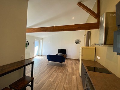 APPARTEMENT T2 A LOUER - ST ETIENNE Albert Thomas/Ursules - 39.03 m2 - 500�&euro; charges comprises par mois